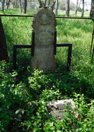 Wilhelm Koch grave